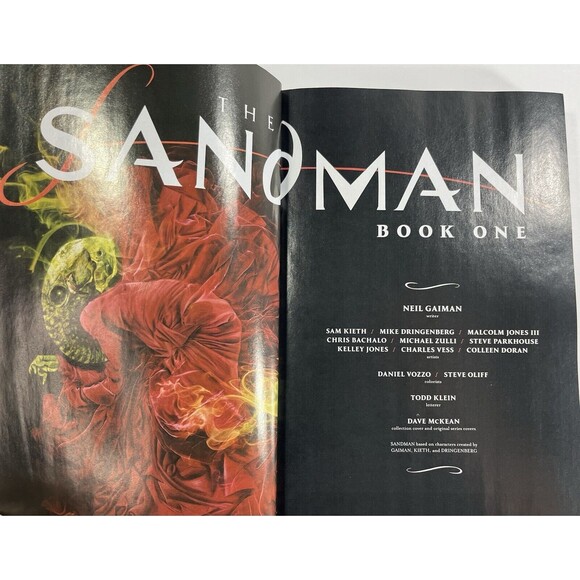 The Sandman by Neil Gaiman Book One 2022 Netflix DC Comics Paperback - Picture 3 of 11